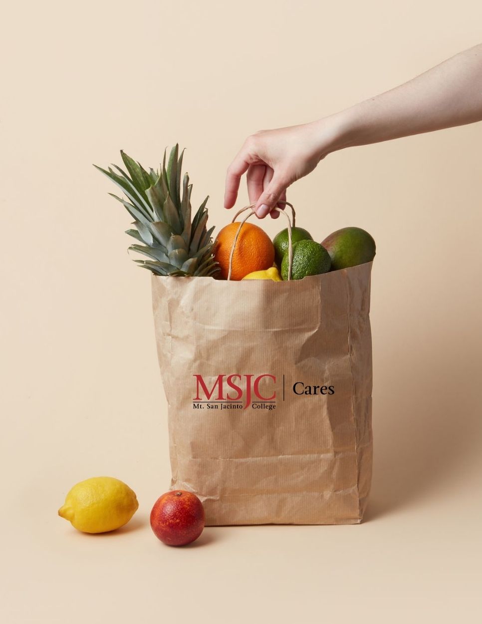 bag of groceries with MSJC Cares on the bag