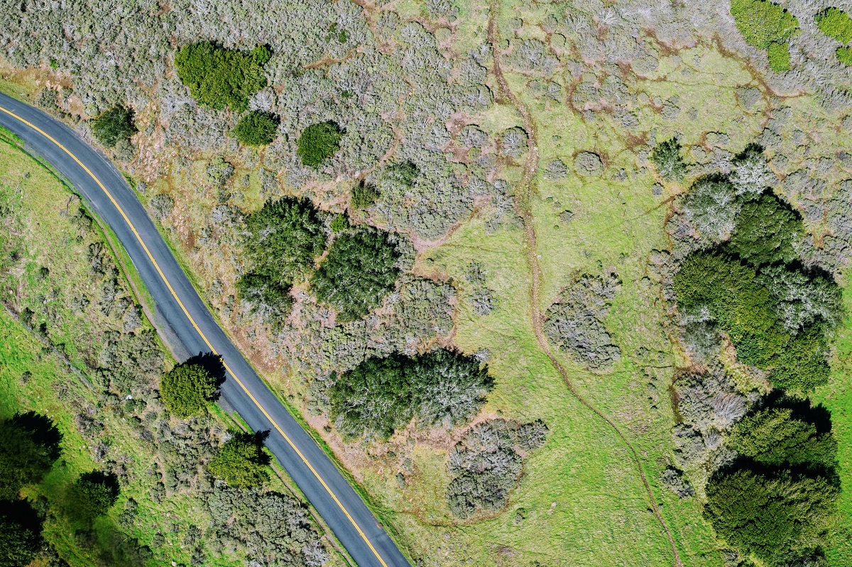 aerial image of a road crossing fields